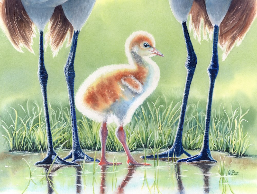 Love-Unspoken-original-scan