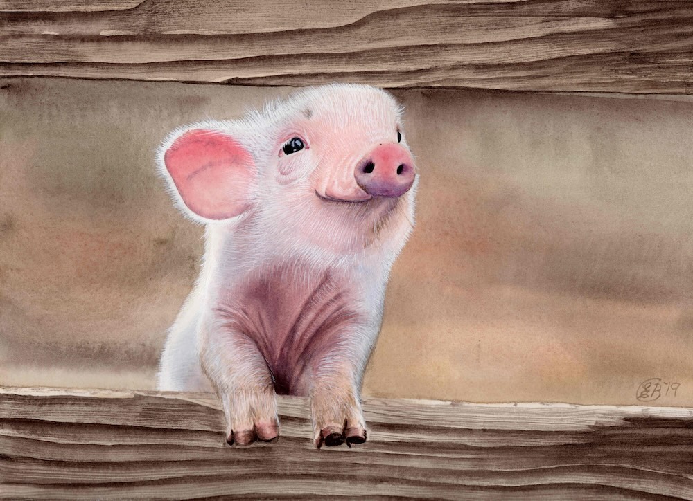 Tickled-Pink-original-scan