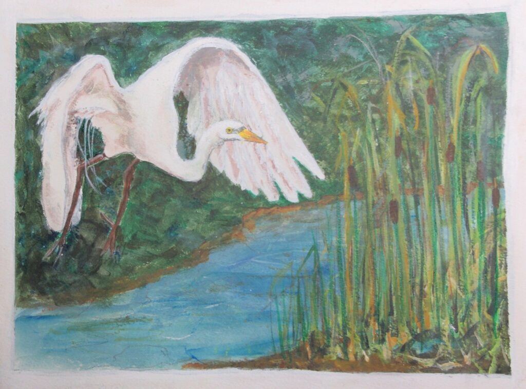 Swamp-Visitor-2